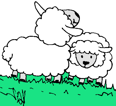 Lamb logo - COLOR - 10.29.10 Reversed